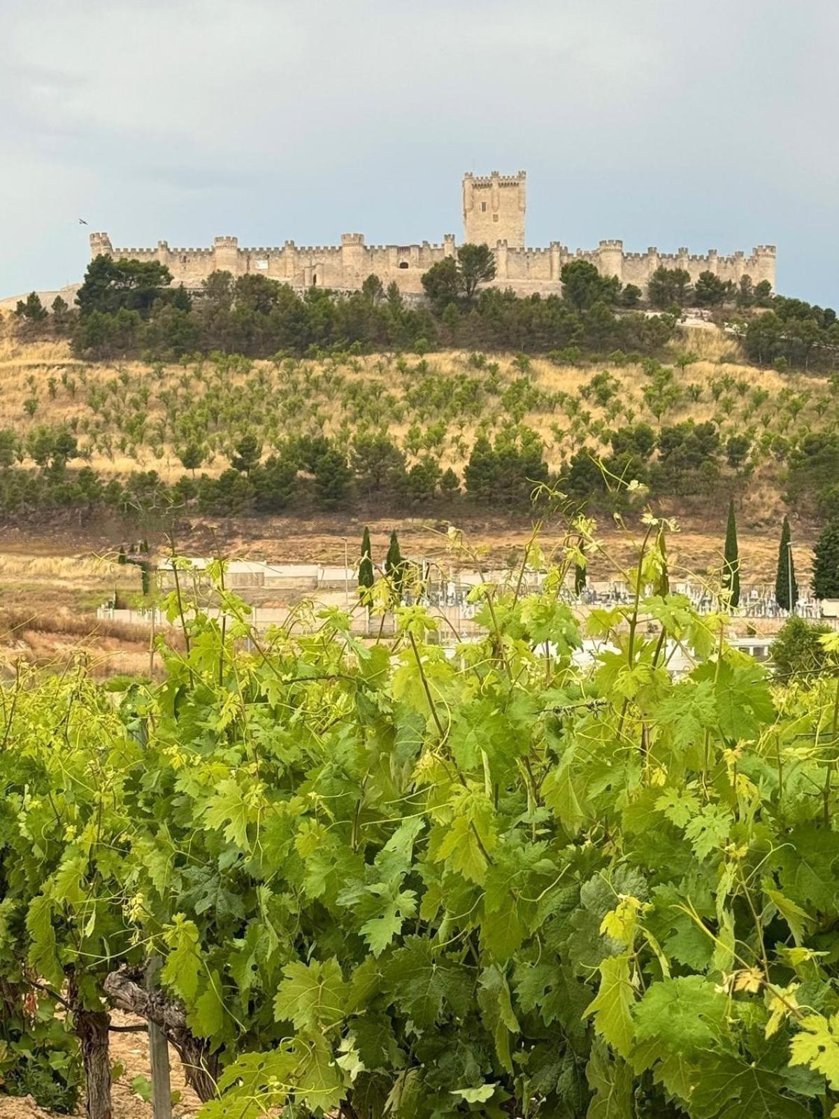 Villa Casa Bodegas Marcos Peñafiel Exterior foto