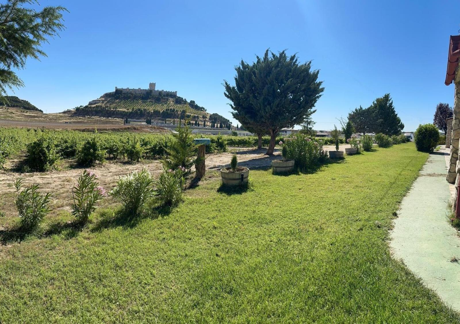 Villa Casa Bodegas Marcos Peñafiel Exterior foto
