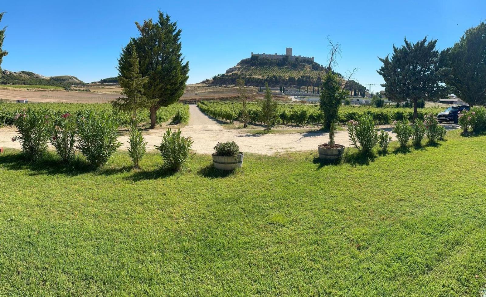 Villa Casa Bodegas Marcos Peñafiel Exterior foto